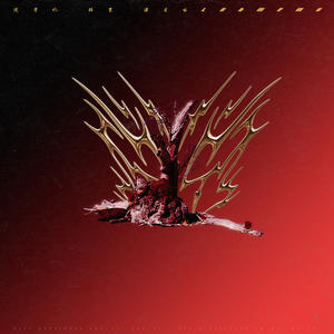 日本成熟老妇xxxx
