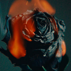 日本成熟老妇xxxx
