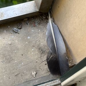 日本成熟老妇xxxx
