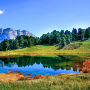 日本成熟老妇xxxx
